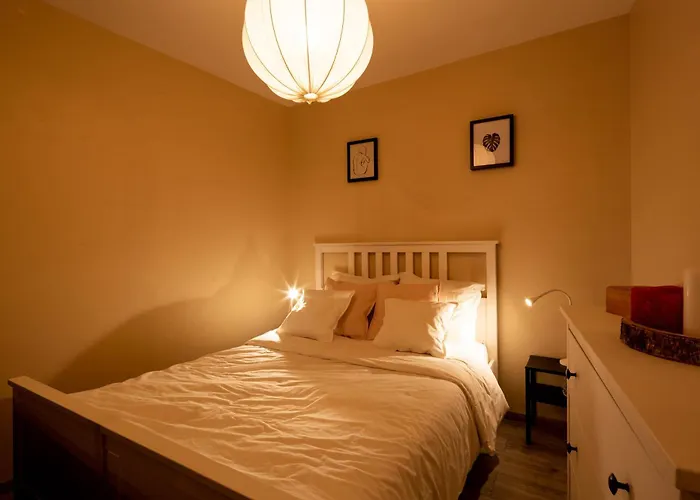 Appartement Entier Strasbourg Centre